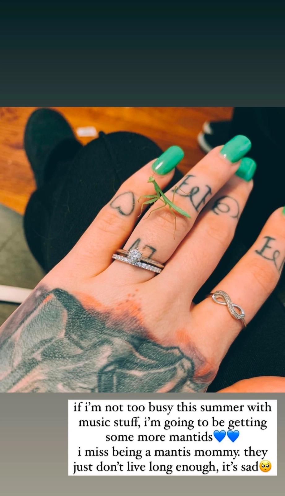 IM AVAILABLE FOR HOOKUP TONIGHT IM AVAILABLE FOR HOOKUP TONIGHT