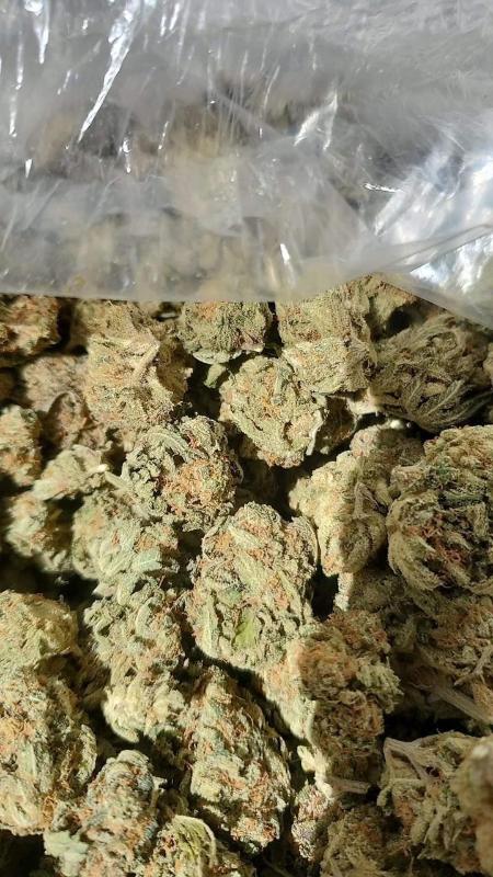 HOOKUPSEX AND DRUGS FOR SALE