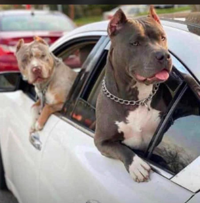 Hook up sex and car date