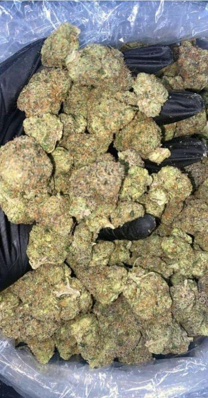 YO I GOT SOME SWEET WEED STRAINS ☘️FOR SALE JUST TEXT MY NUMBER AND LETS DEAL