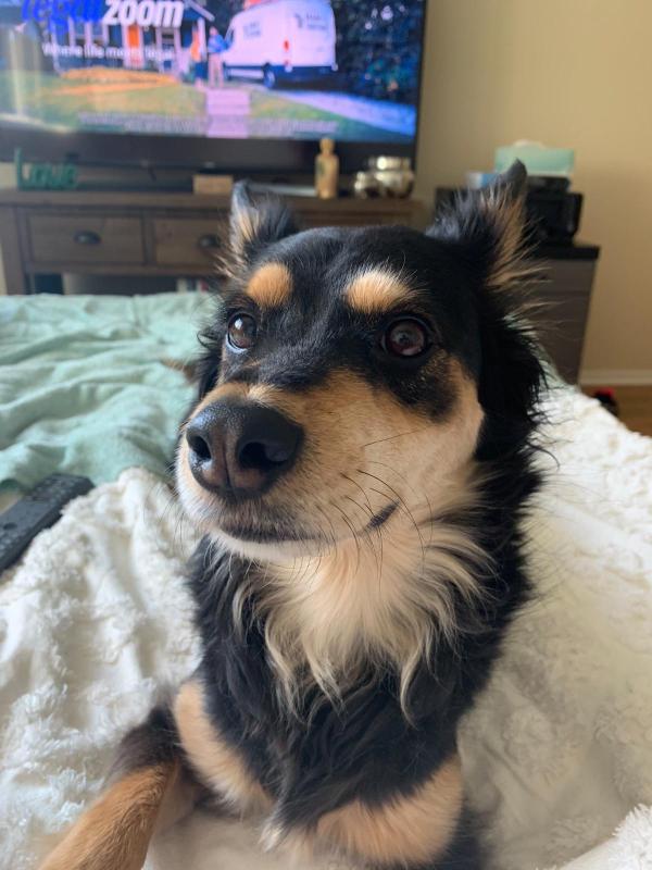 PYT available for sex hookup