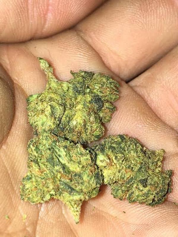 ALL KINDS OF DRUGS AVAILABLE..CRACKS ..MARIJUANA ..WEED .E.T.C HMU:6474877557